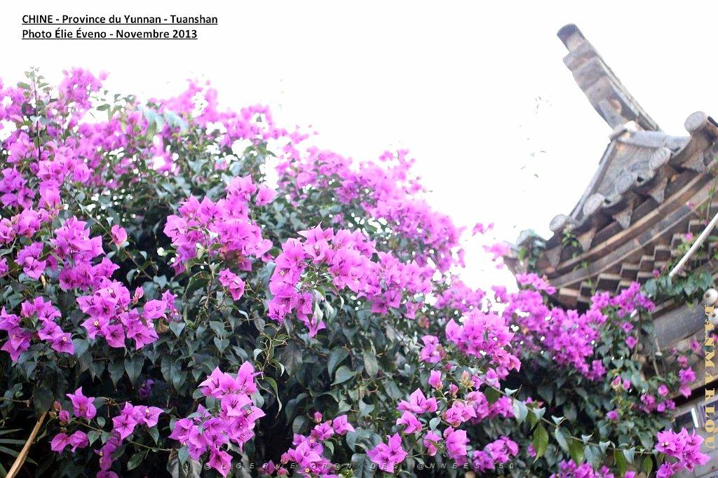 067 - Tuanshan.JPG